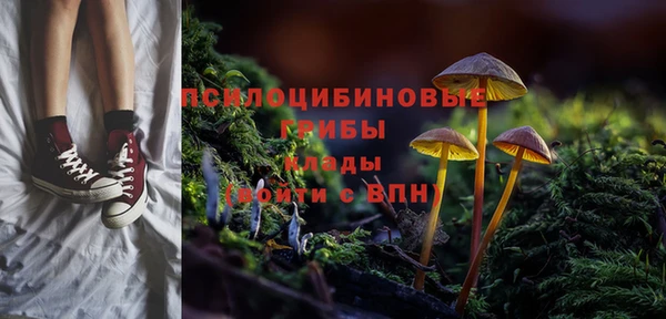 ALPHA PVP Алексин